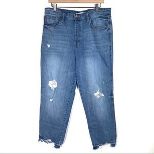 Ella moss High Waist Straight leg light wash distressed frayed hem jeans size 32